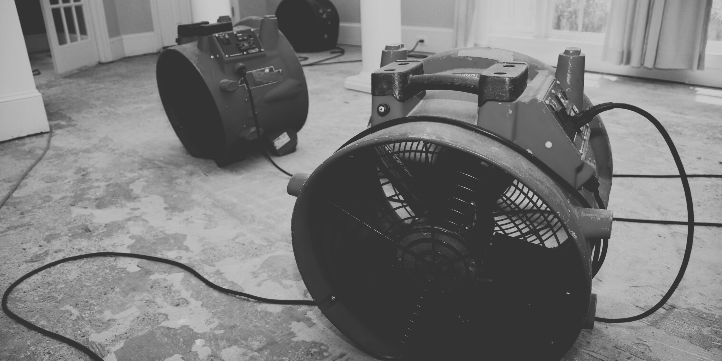 Learn What we Do copy 2.png