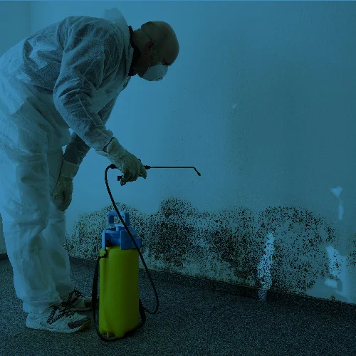 Our professional remediation teams will help prepare your property.