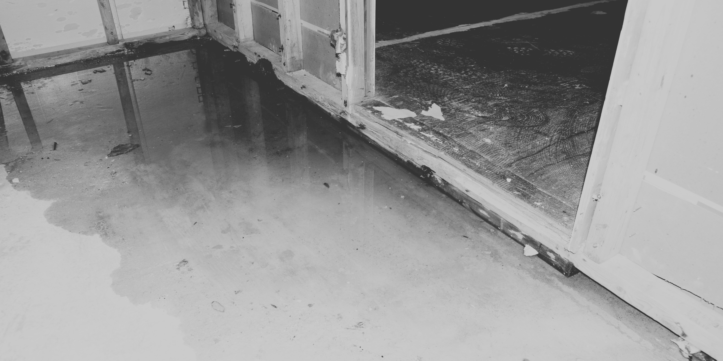 Our Services copy 18.png