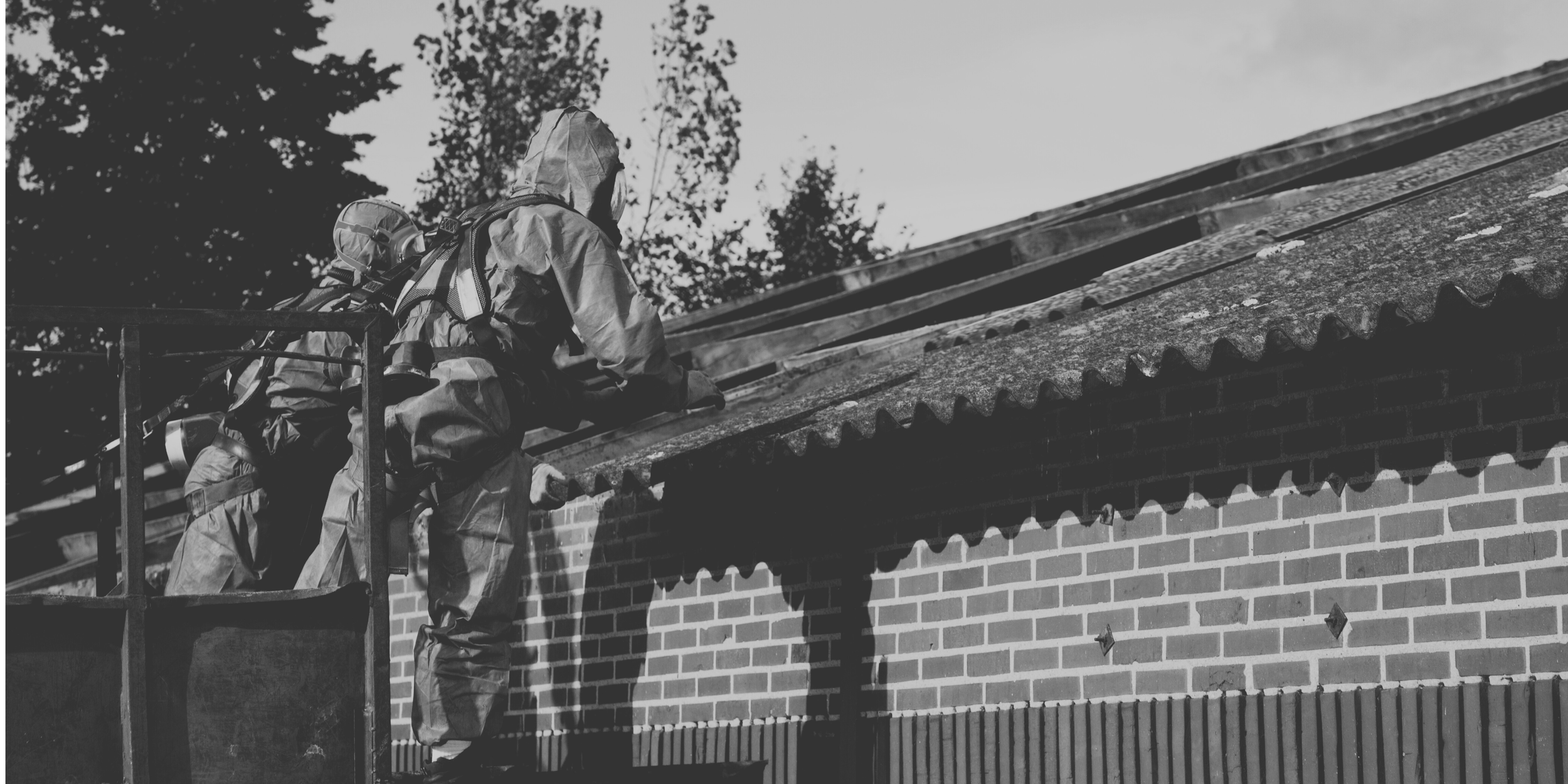 Our Services copy 6.png