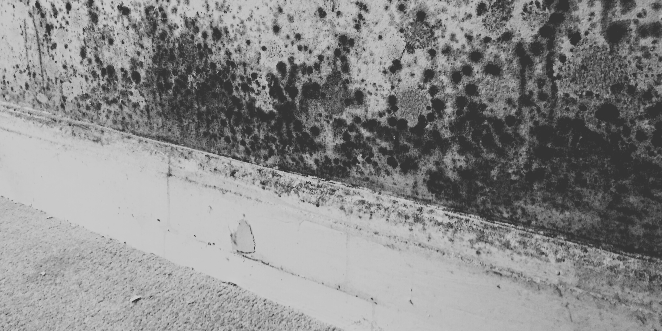 Our Services copy 2.png