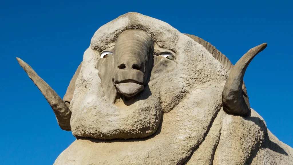 Merino.jpg