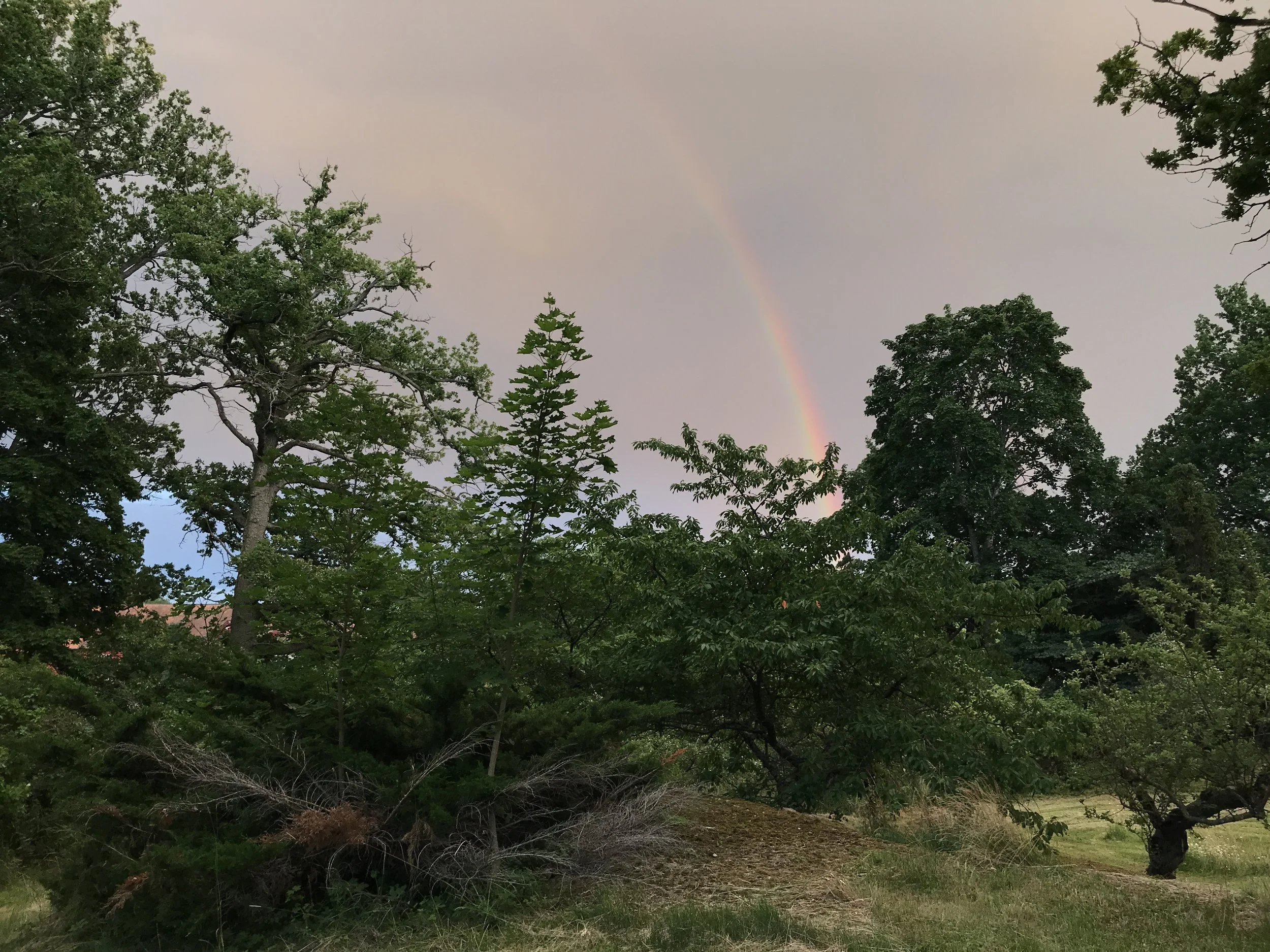 Övre viken_Pier62021-02-10 kl. 2210.59.36 4.JPG