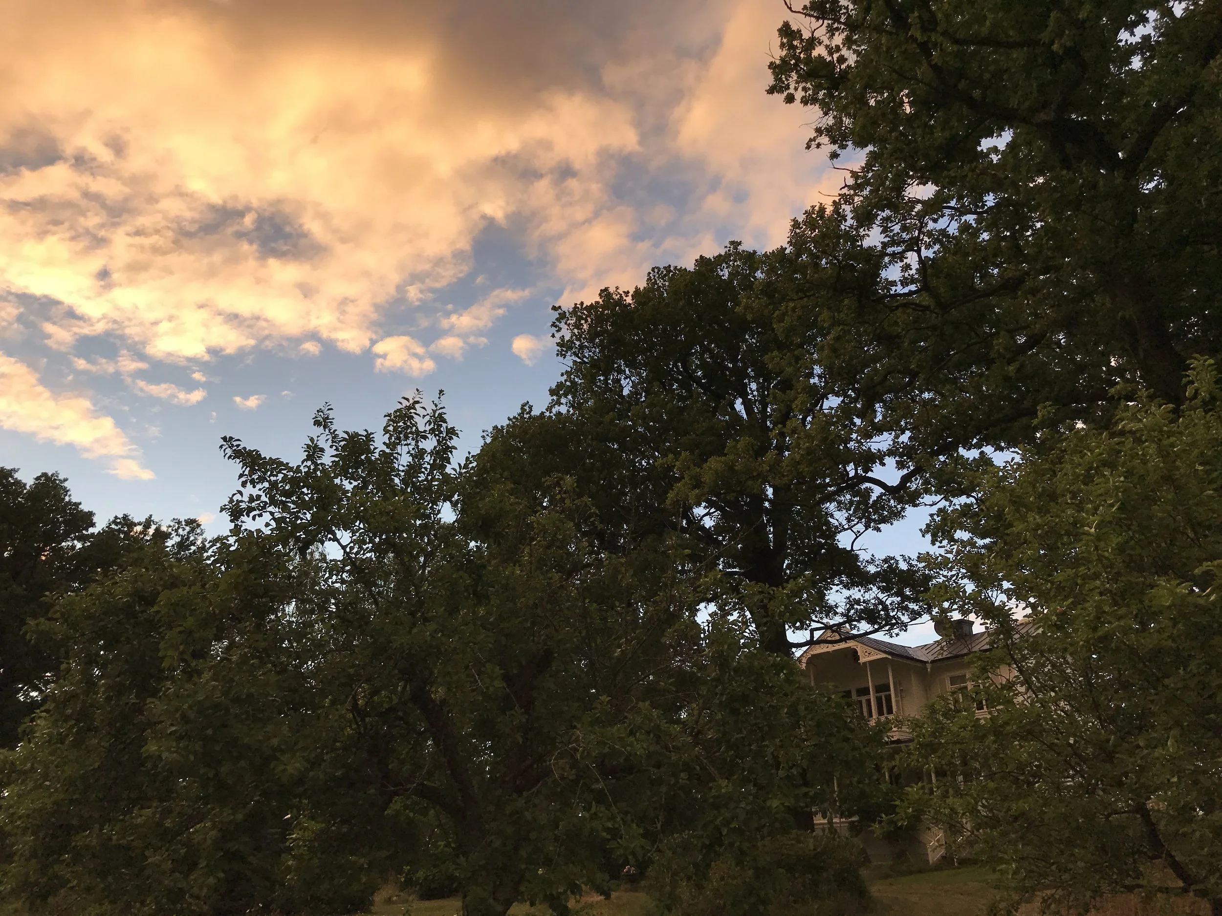 Övre viken_Pier62021-02-10 kl. 2210.59.36 7.JPG