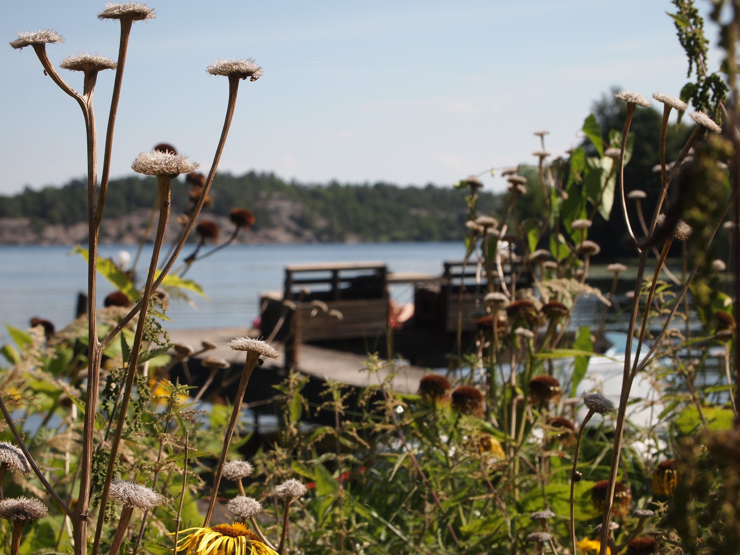 Övre viken_Pier62021-02-10 kl. 2210.59.36 14.JPG