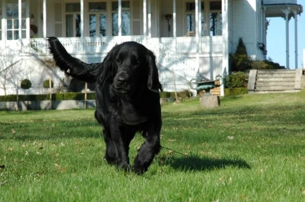 Övre viken_2021-02-10 kl. 2210.18.24 7.JPG