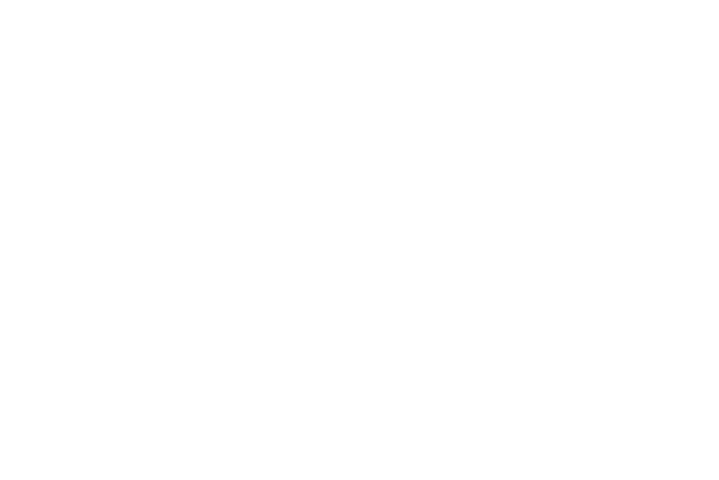 A.C. BRASSEAUX DESIGNS