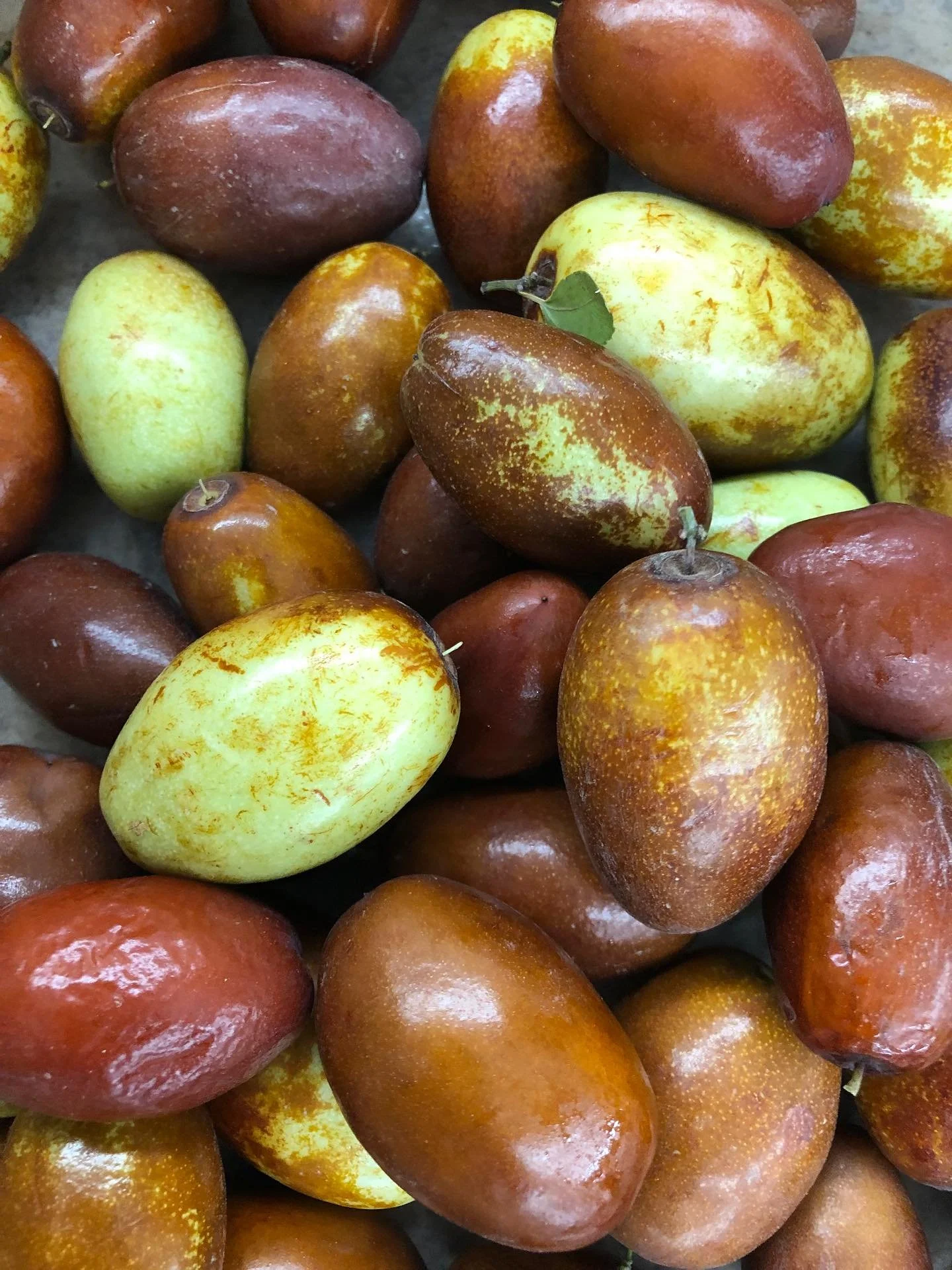 Early Fall Season CA favorite fruit is long Jujube !California local long Jujubes now are very crispy , sweet and delicious !