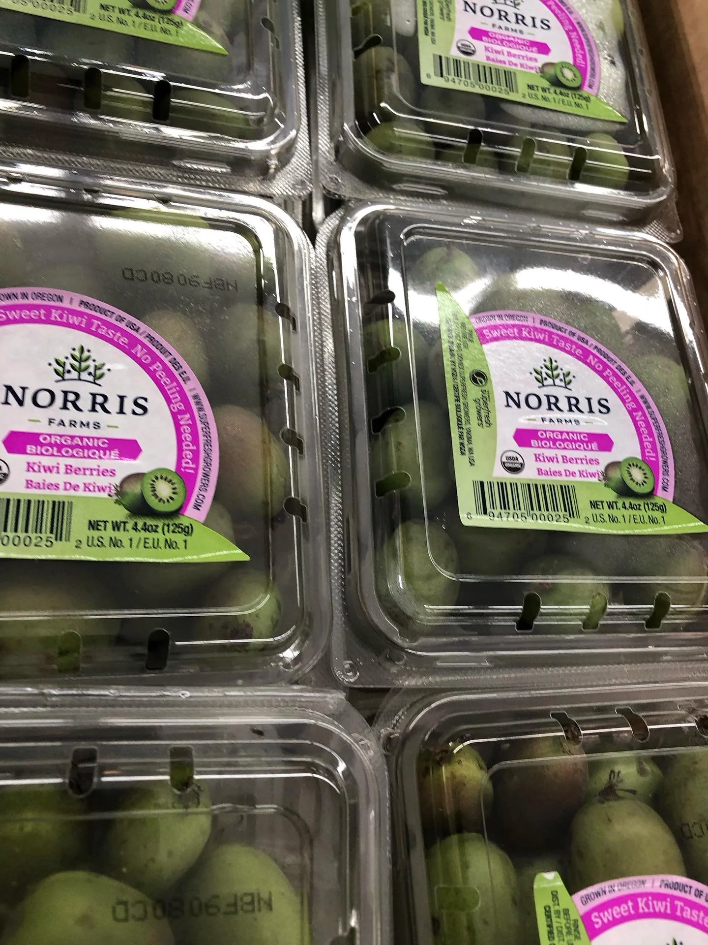 We have new fruit Kiwi Berries ! Taste same like regular kiwi! Kiwi Berries more sweeter , smoother taste and juicy!