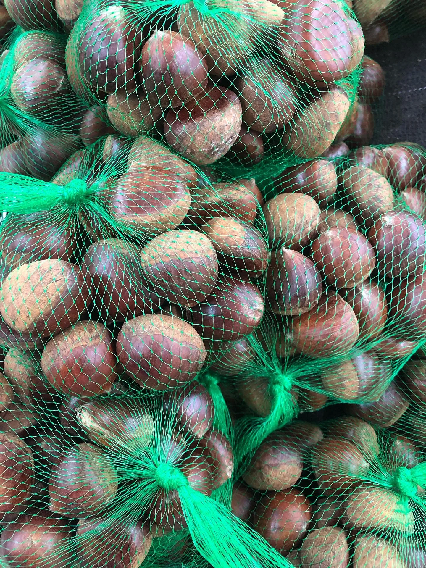 Chestnut are nutritious and good to eat. Roasted Chestnuts are one of Fall Season&rsquo;s favorite snack!