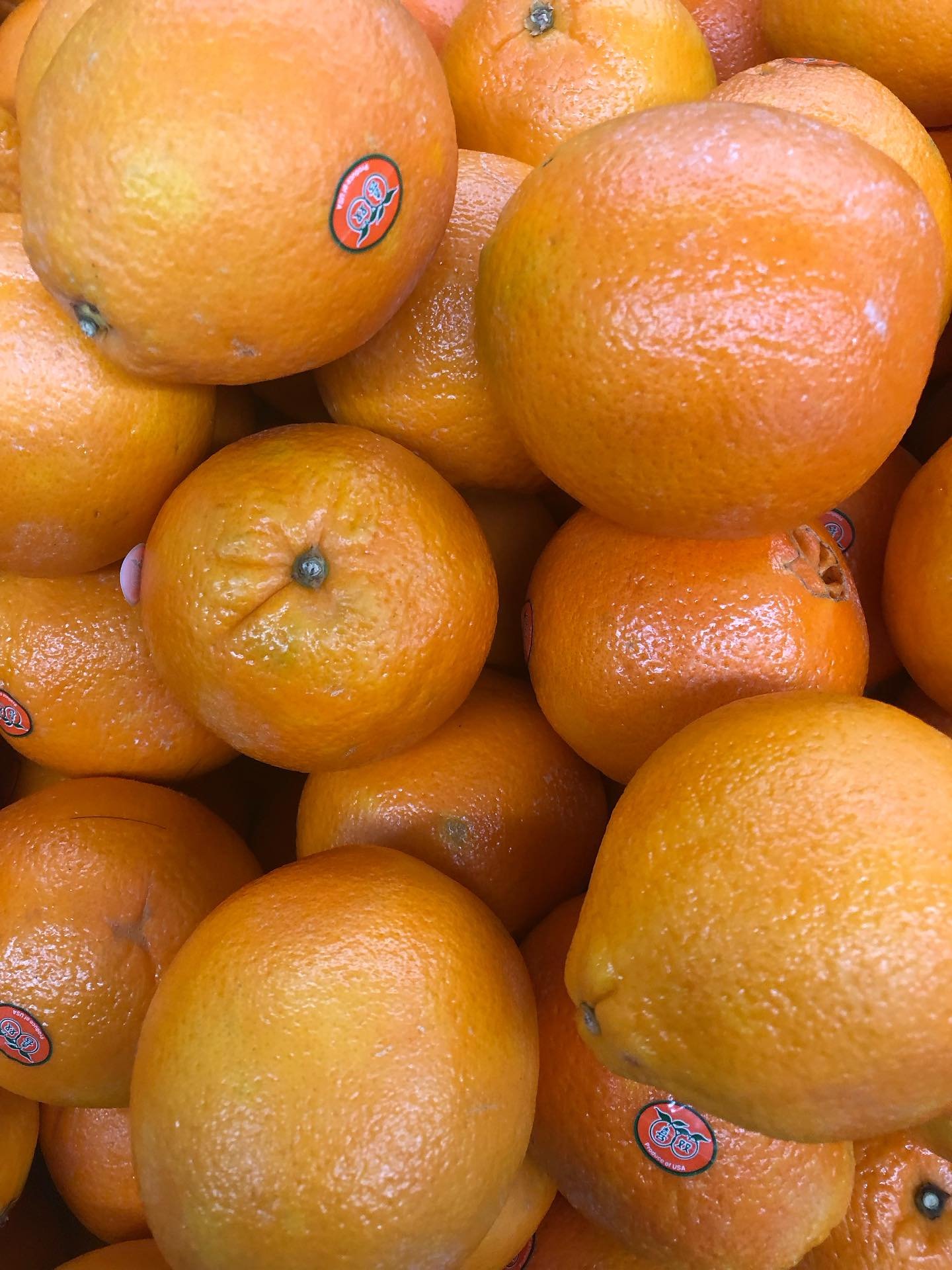 Can you taste the difference for different varieties of citrus fruits?  Yes, in California November is a month for citrus fruits like navel orange, song hay orange, honey tangerine, sweet mandarin ect. While some citrus is available year around, the 