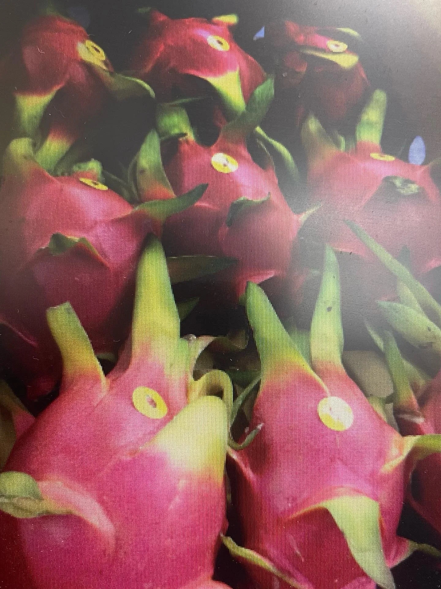 Red Dragon Fruits are good for holidays season 🎊