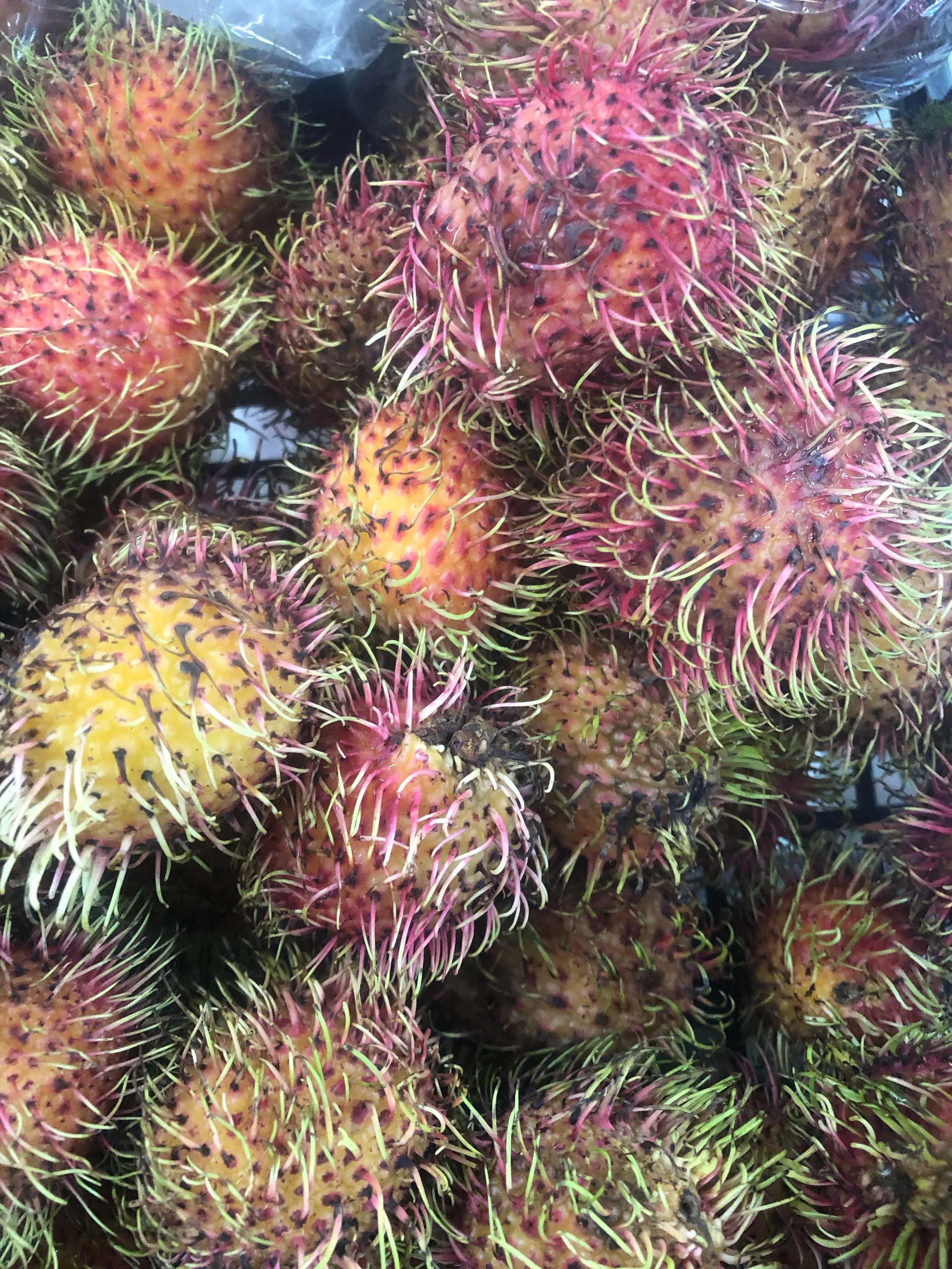 Summer brings an incredible bounty of fresh fruits! The season is defined by juicy fruits, antioxidant-rich berries and refreshing tropicals fruits!