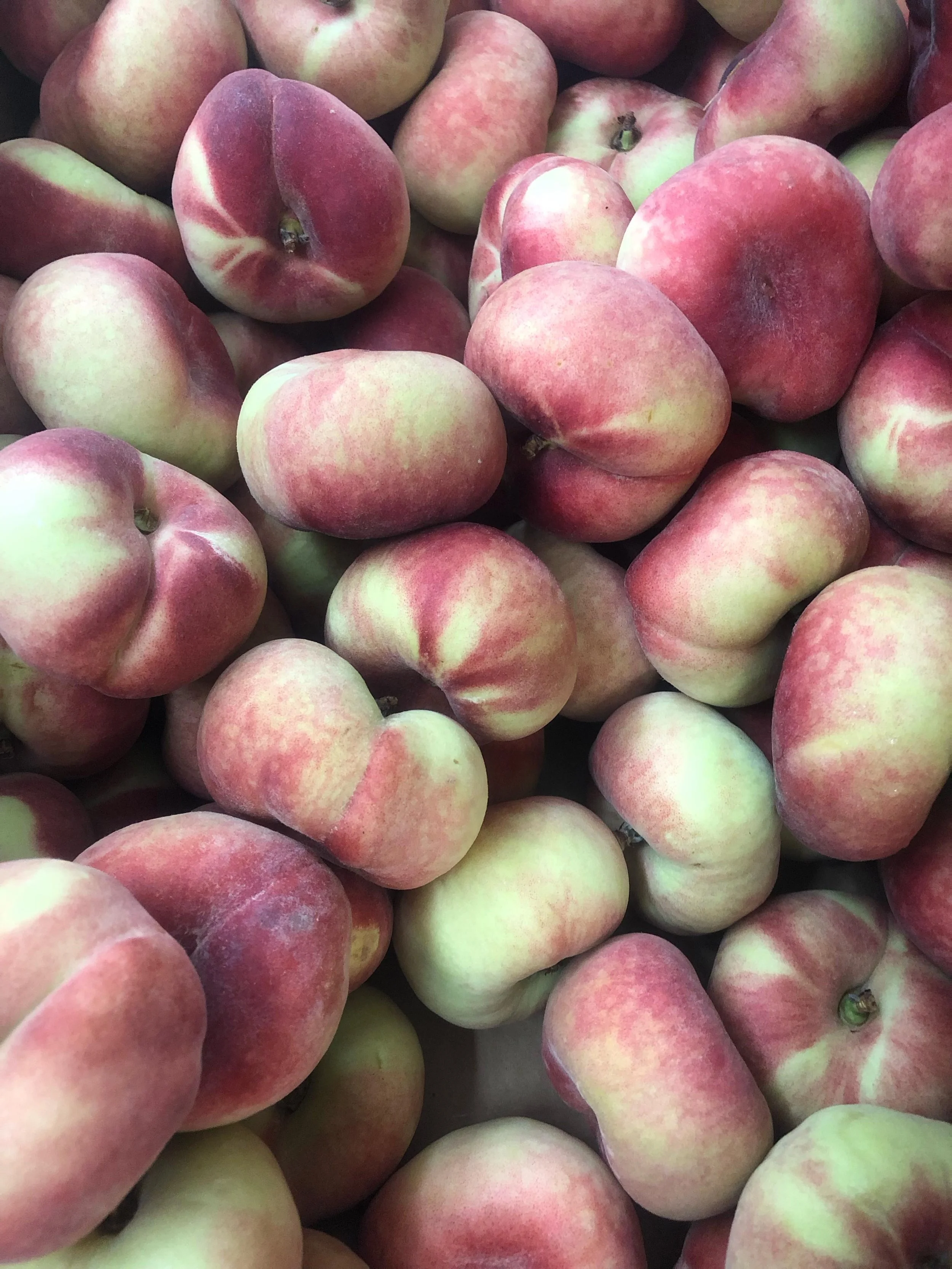 Donuts Peaches so sweet and crunchy its on sale now!