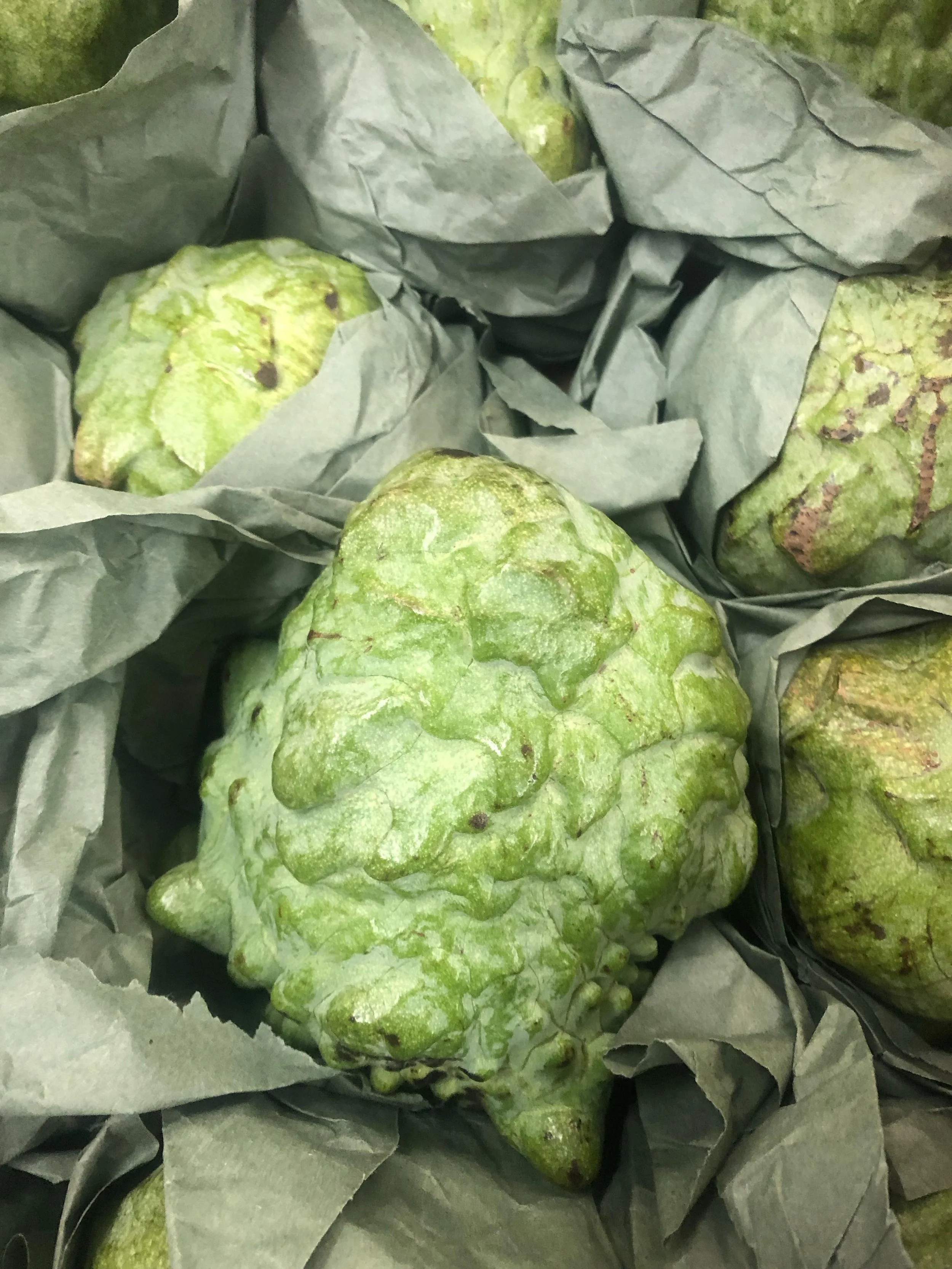 Exotic fruit Atemoya is a sweet tropical hybrid fruit cross between cherimoya and sugar apple Taste.