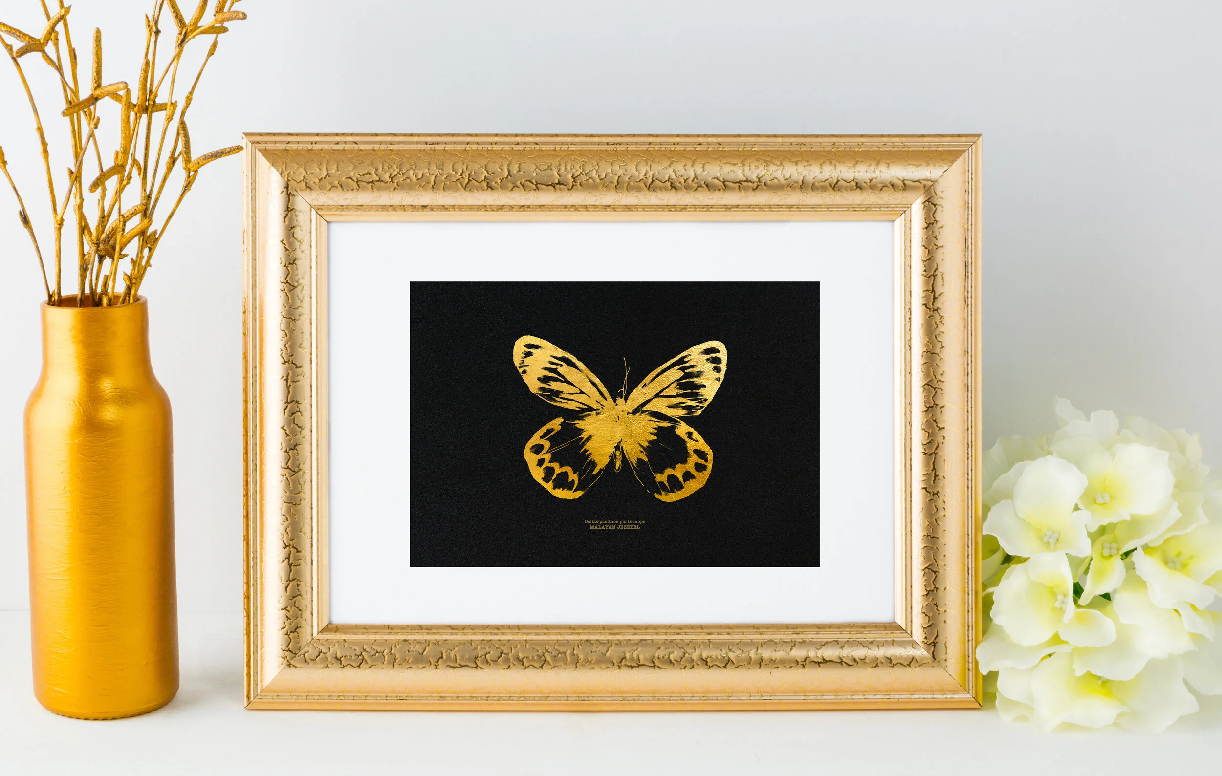 mockup malayan jezebel black small copy.jpg