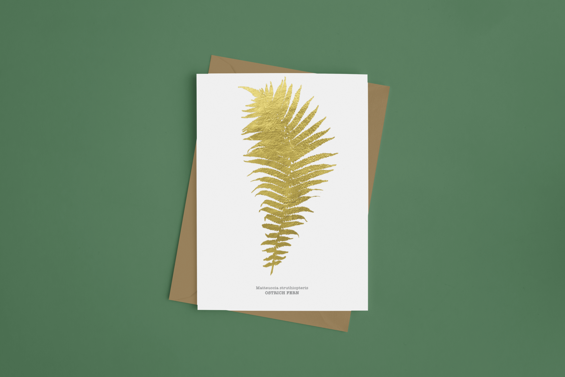 mockup-of-a-couple-of-greeting-cards-on-a-plain-surface-940-el (2).png