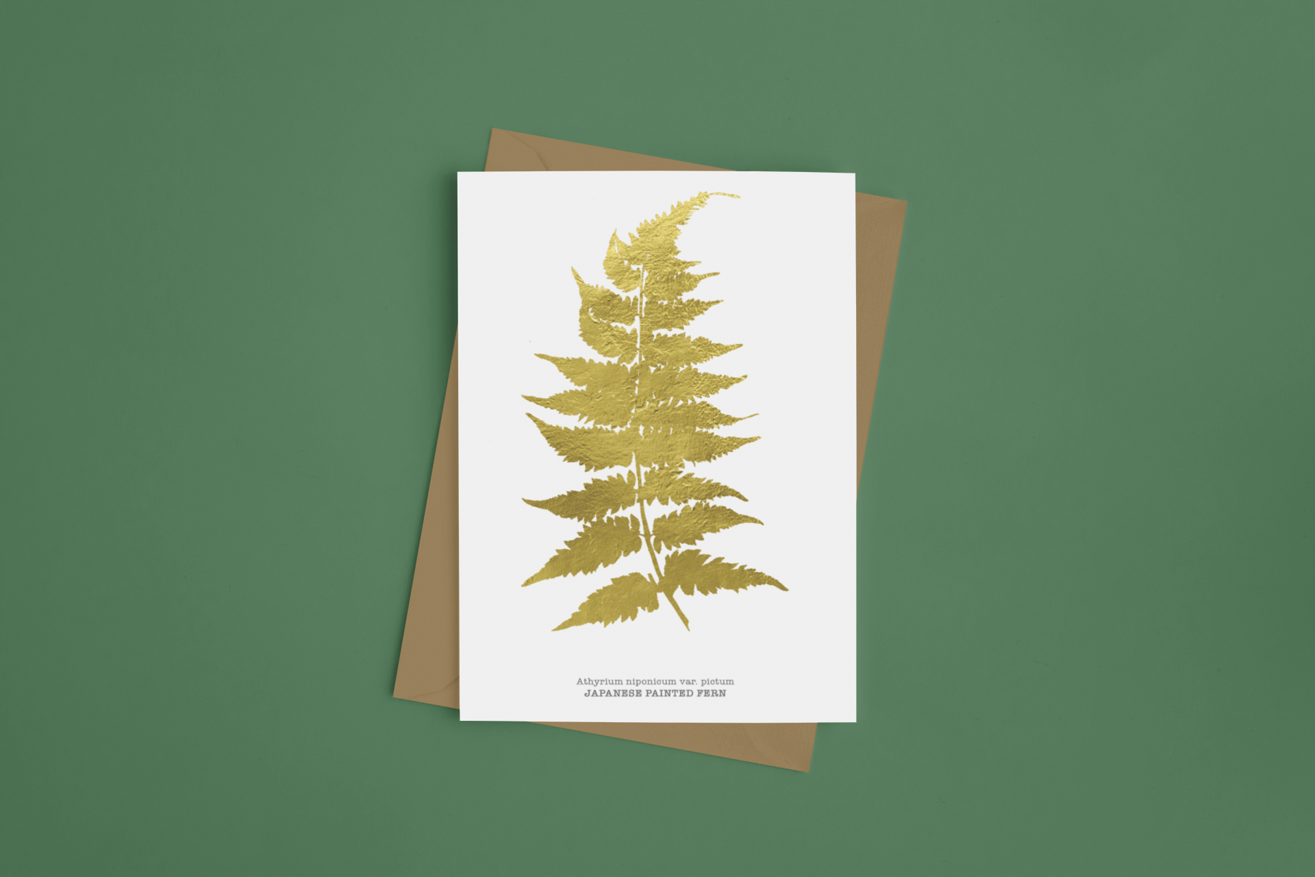mockup-of-a-couple-of-greeting-cards-on-a-plain-surface-940-el copy.png