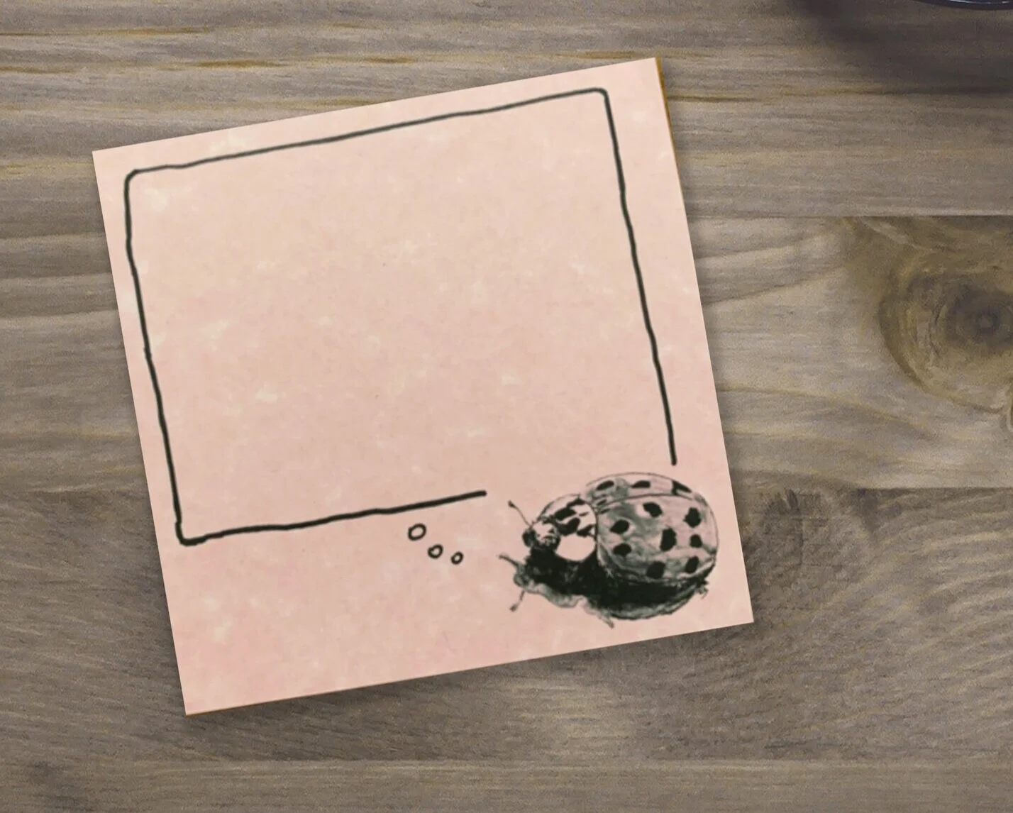 Ladybug Notepads, 2pack