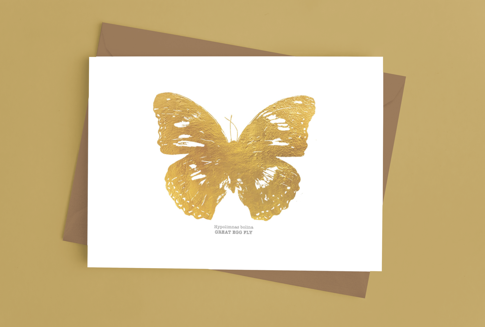 mockup-of-a-greeting-card-placed-over-an-envelope-on-a-surface-939-el (4).png