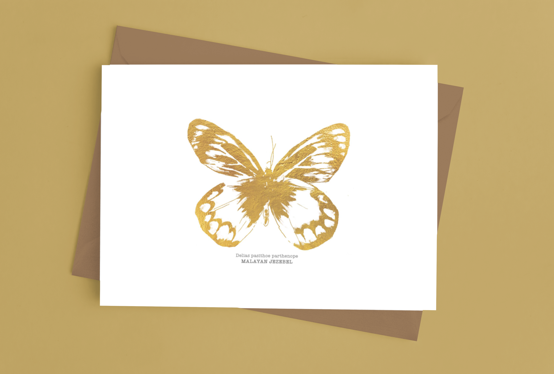 mockup-of-a-greeting-card-placed-over-an-envelope-on-a-surface-939-el (6).png