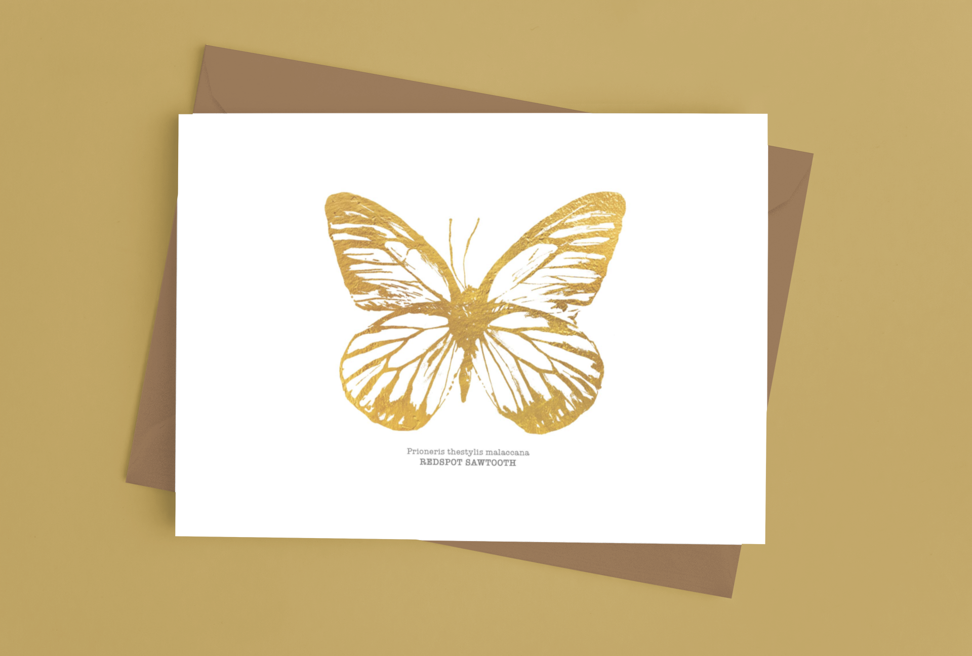 mockup-of-a-greeting-card-placed-over-an-envelope-on-a-surface-939-el (7).png