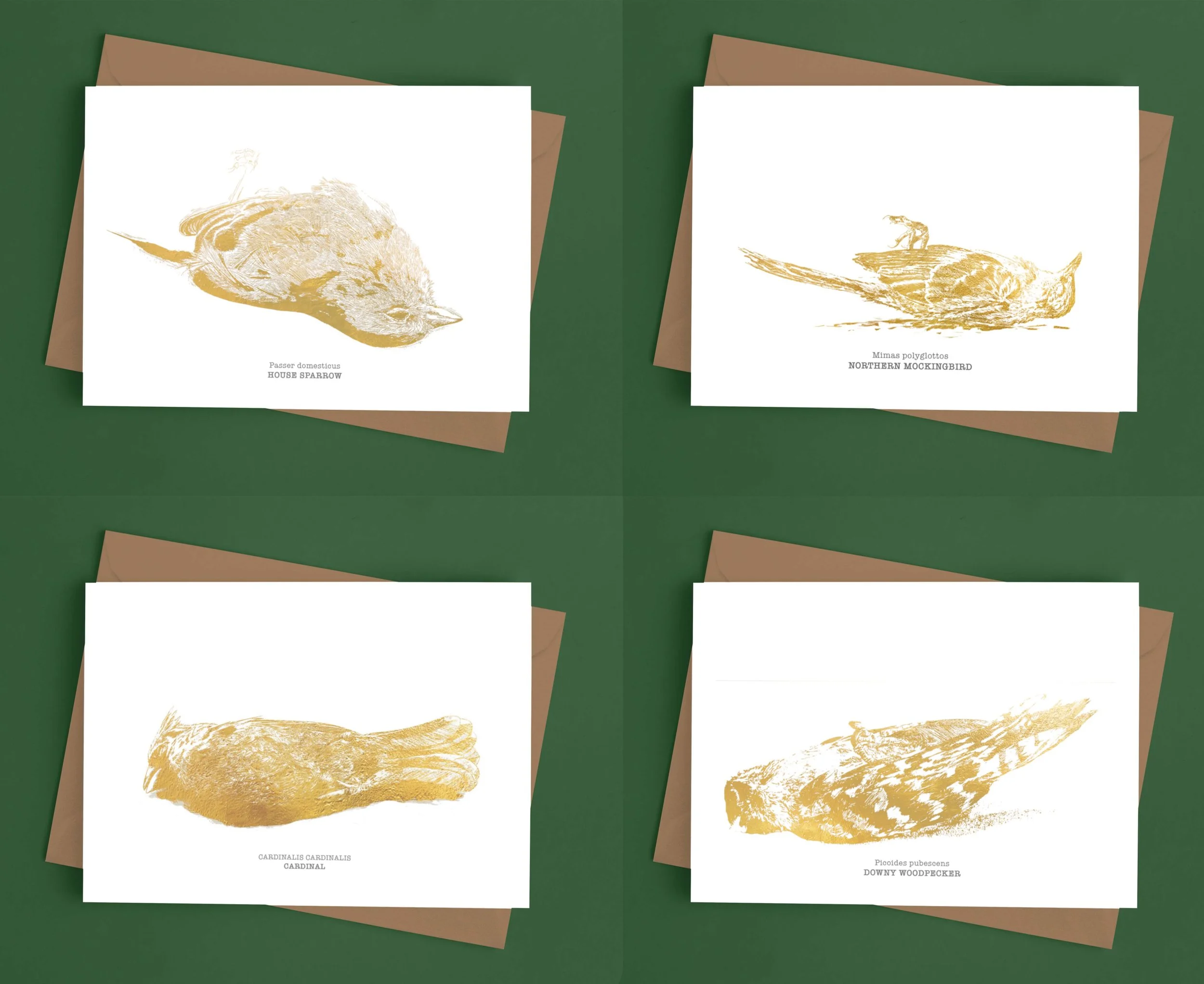 bird card mockup 4up.jpg