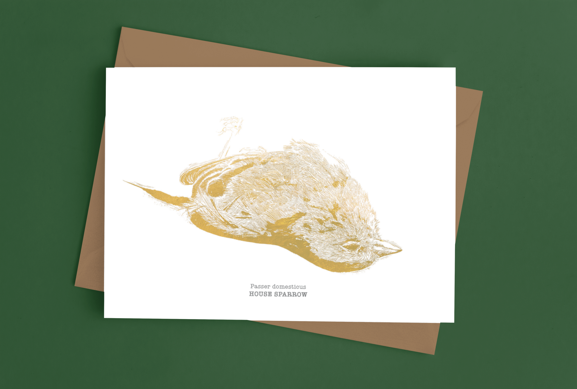 mockup-of-a-greeting-card-placed-over-an-envelope-on-a-surface-939-el (1).png