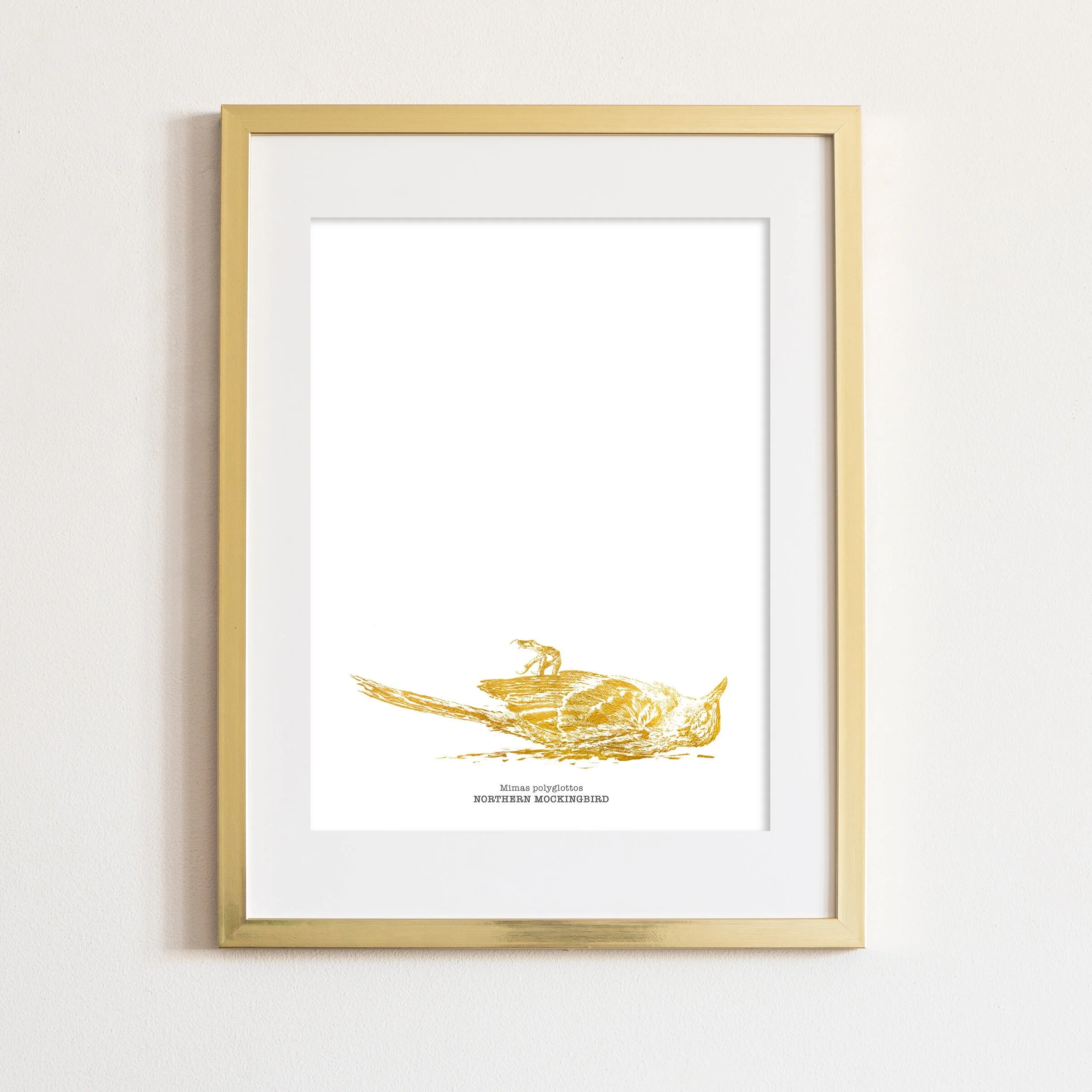 mockup+mockingbird+white+large+copy.jpg
