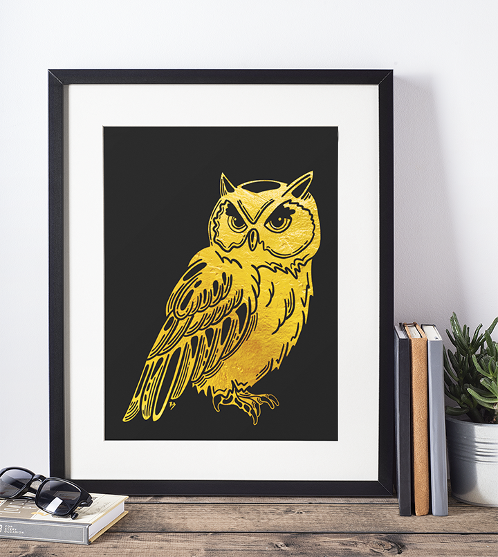 owl mockup v2.png