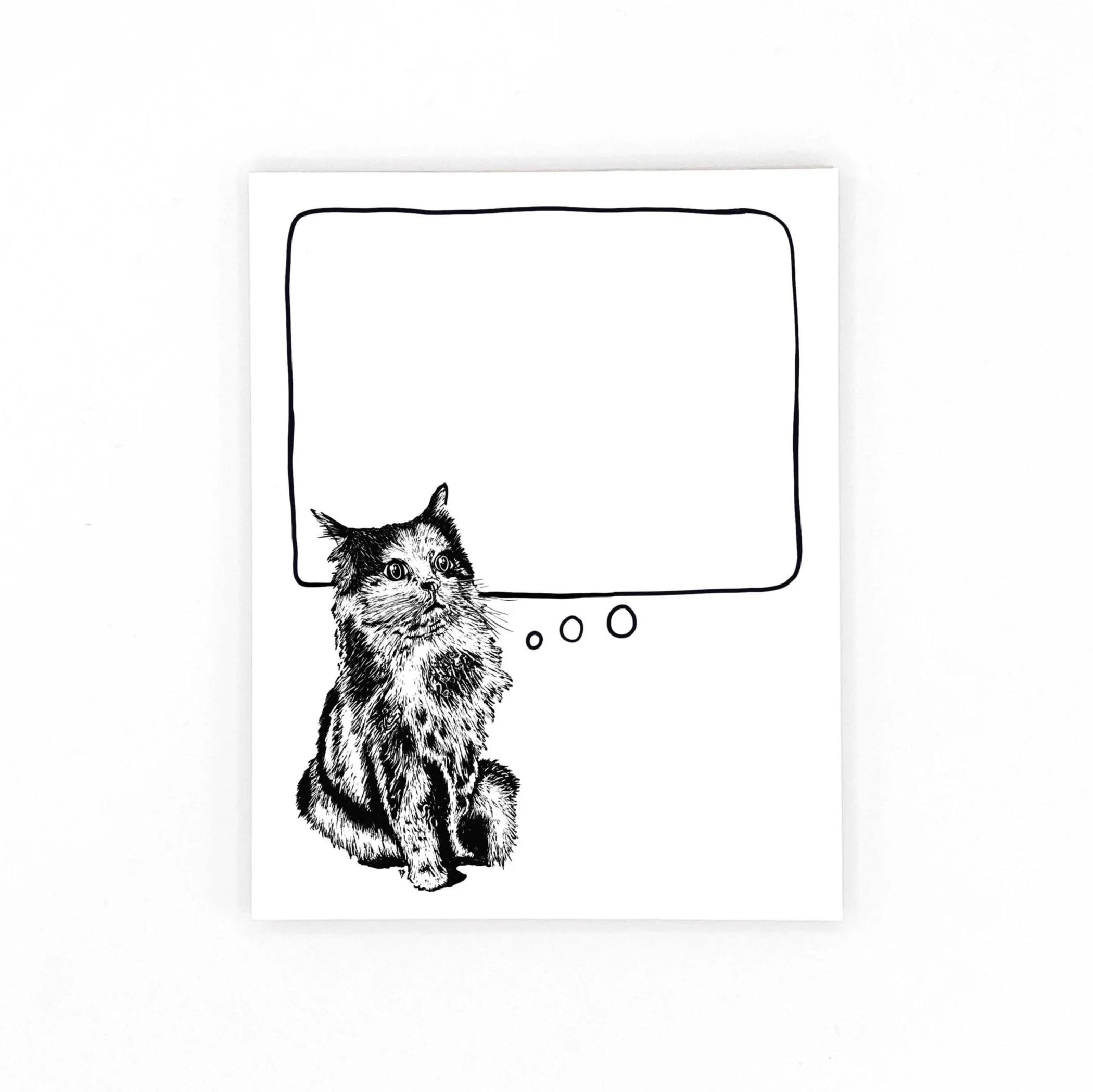 Calico Cat Notepads - 2 pack