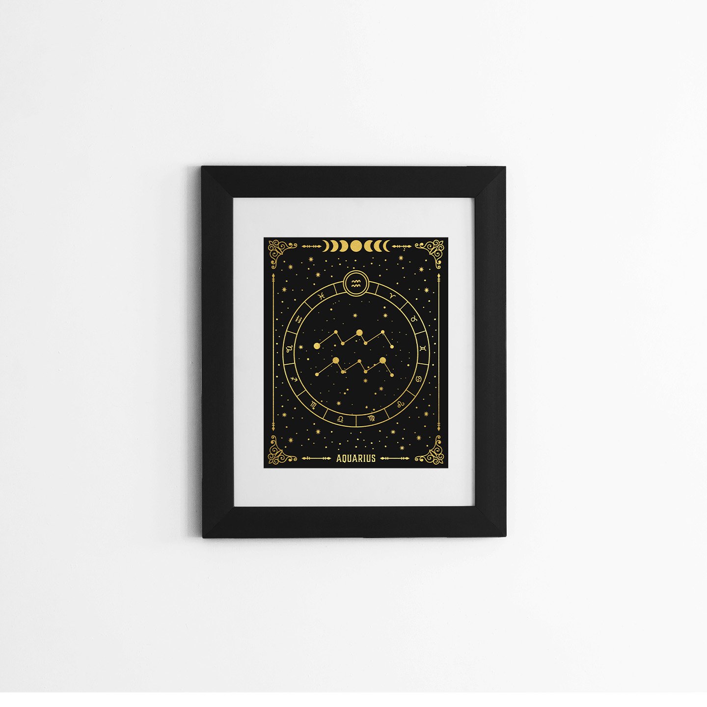 aquarius mockup.jpg