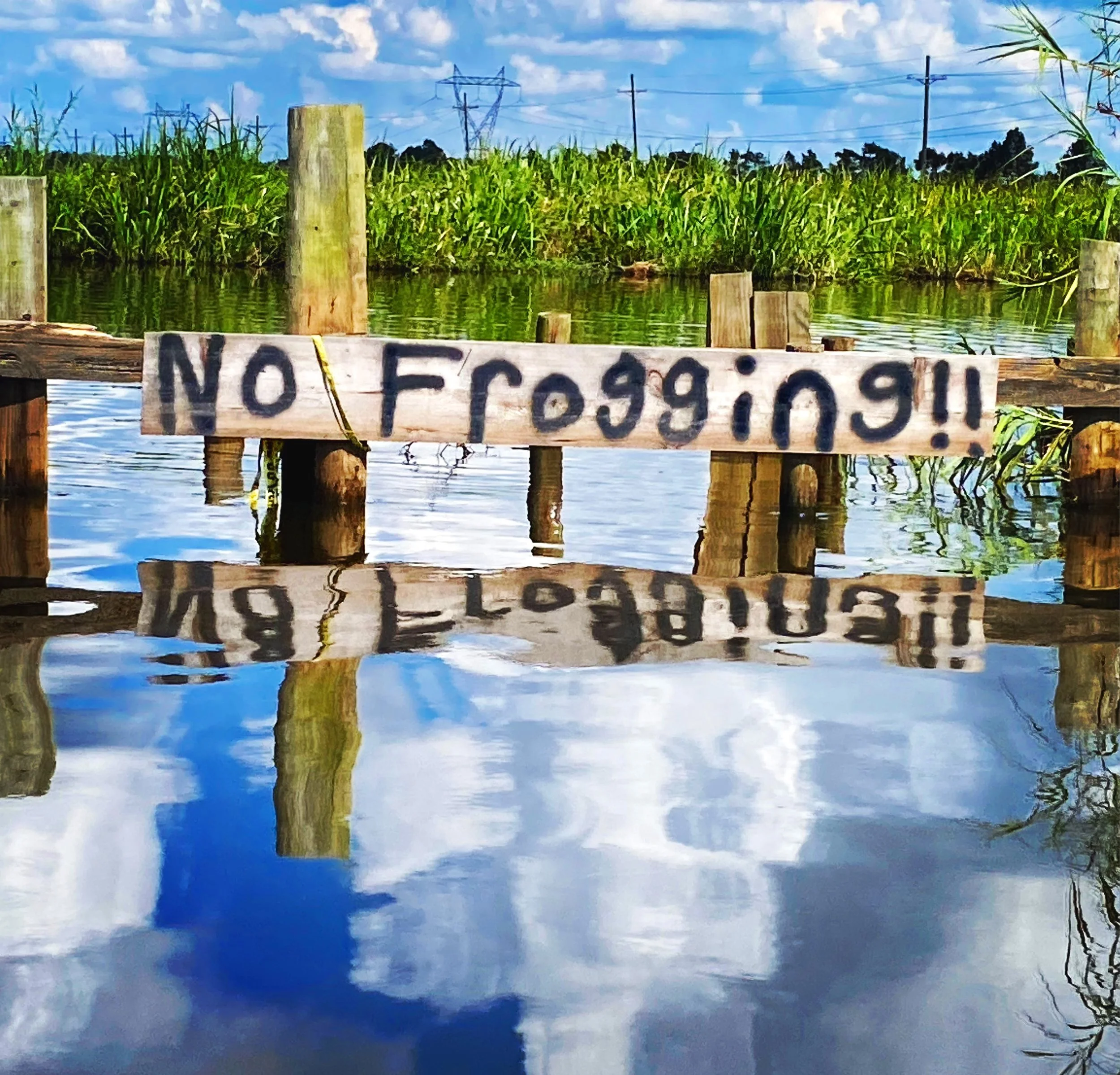 84B5ED01-86E9-46E2-9DD5-885FD8EB642F.jpg