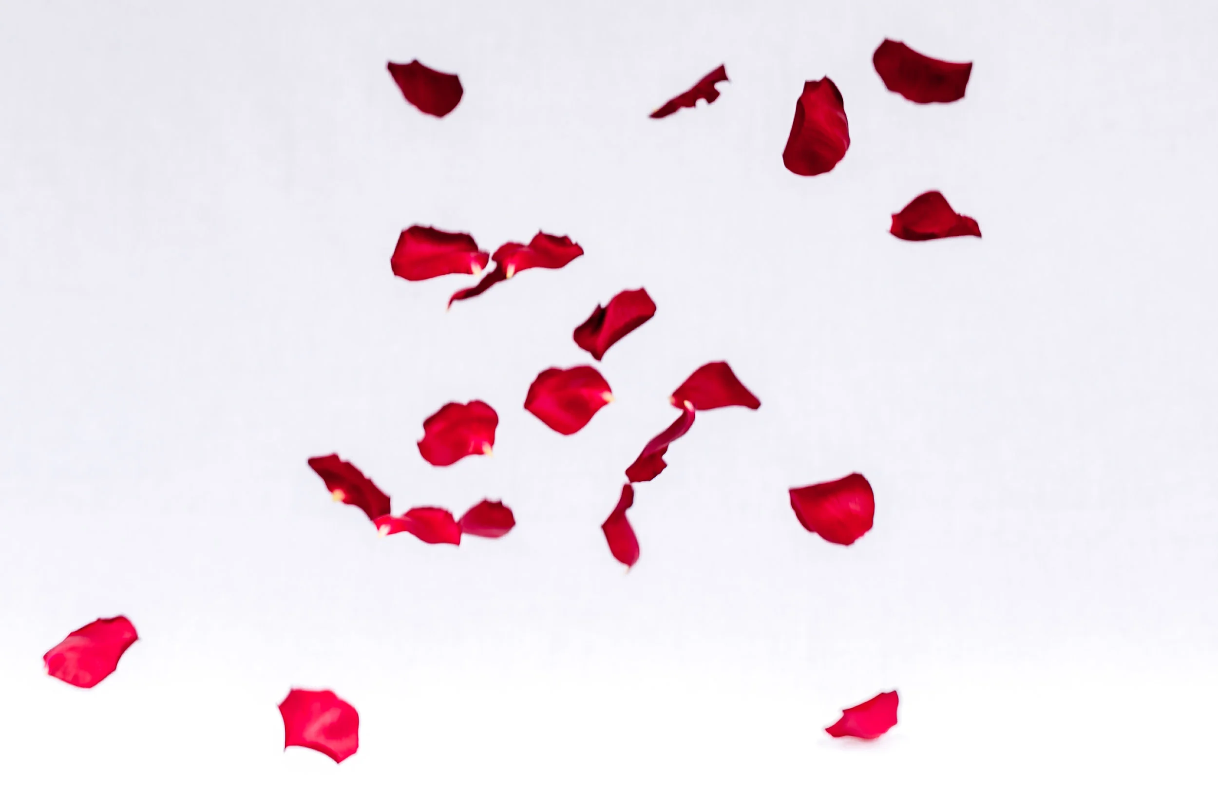 Camille Flowers-57.jpg