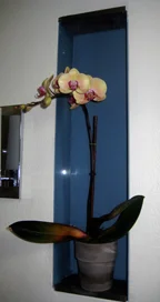 SLZ Bath Niche.jpg