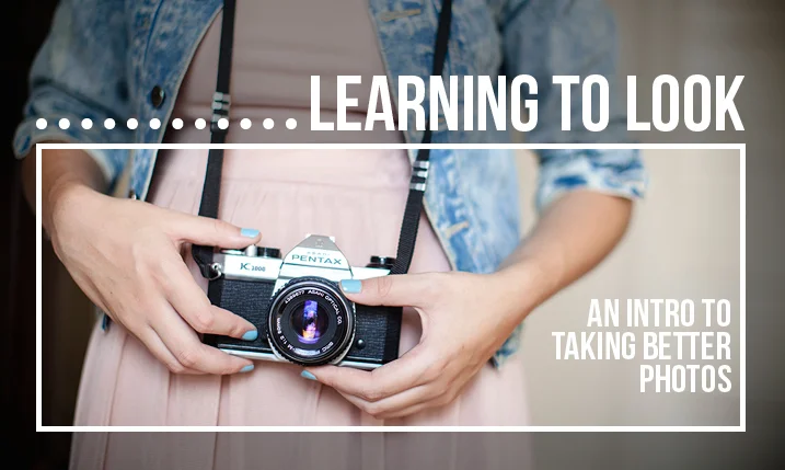 Learning to Look: An Intro to Taking Better Photos