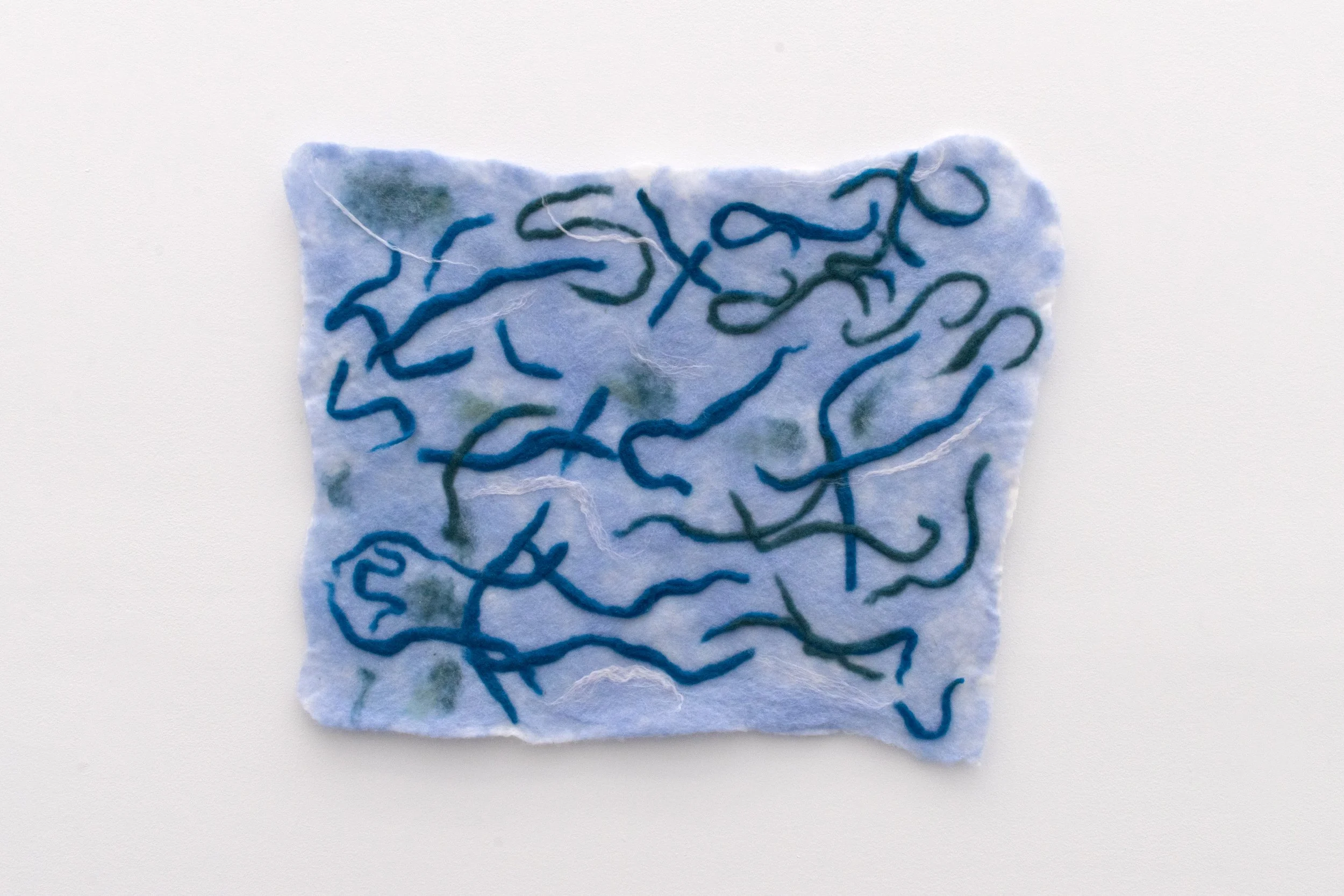 DSC_0243-Edit copy.jpg