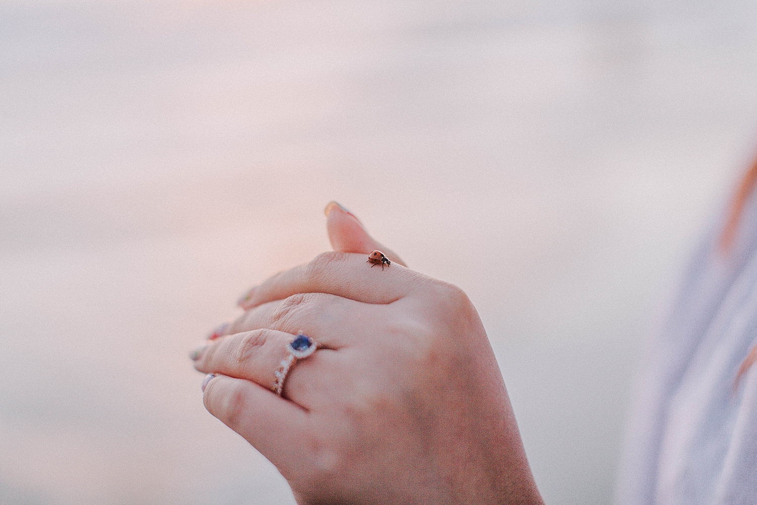 Santa Monica Elopement Photography