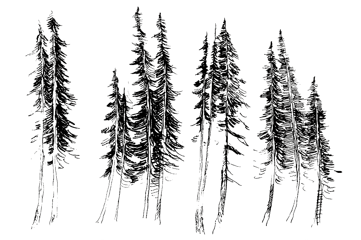 trees-.png