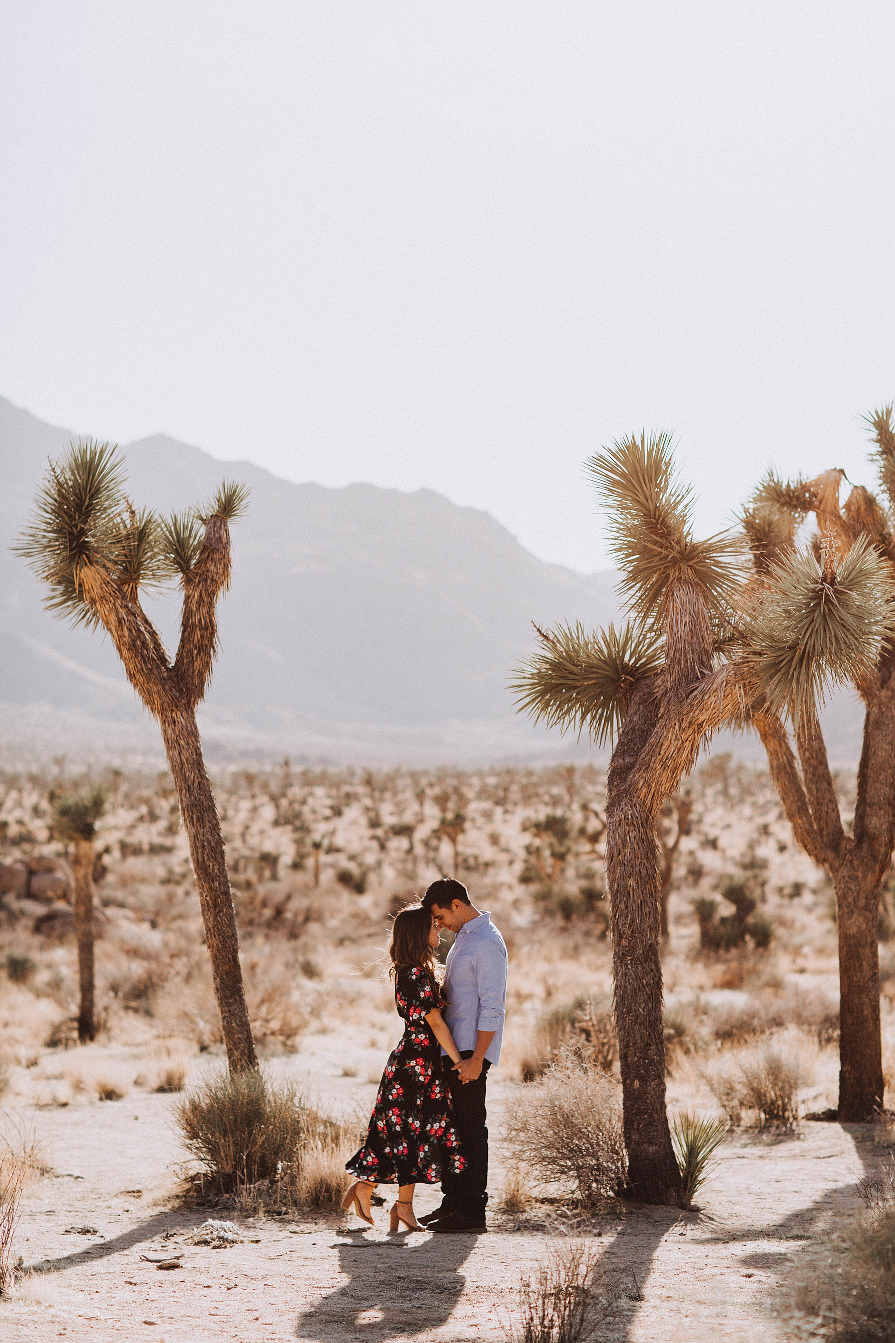 Joshua Tree Engagement Photos