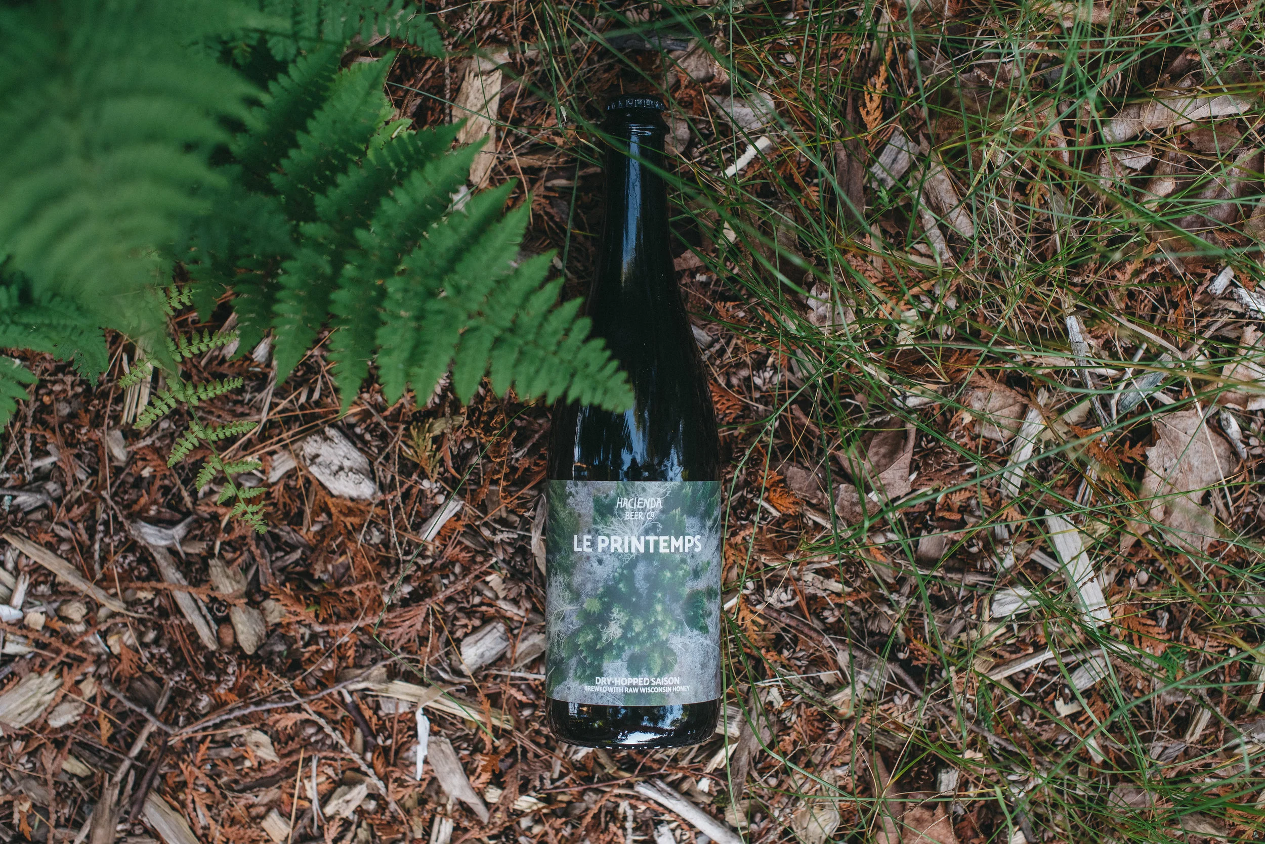 Release of Le Printemps – Spring Seasonal Saison