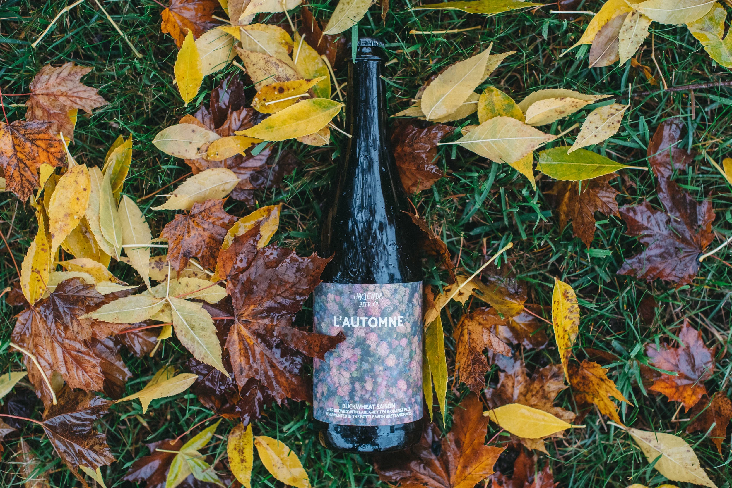 Release of L'automne – Our Fall Seasonal Saison