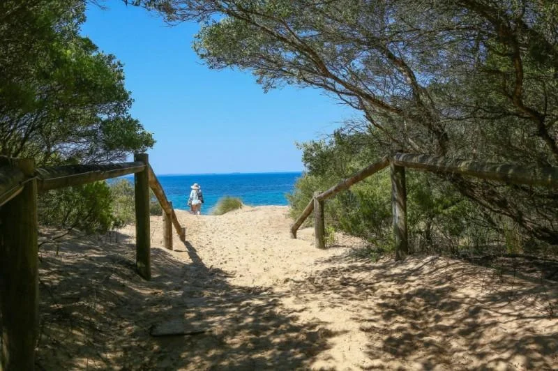 Merricks Beach