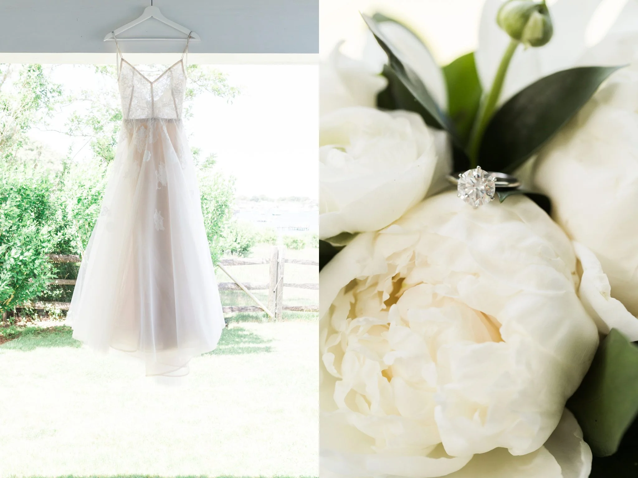 Anne Lee Photography