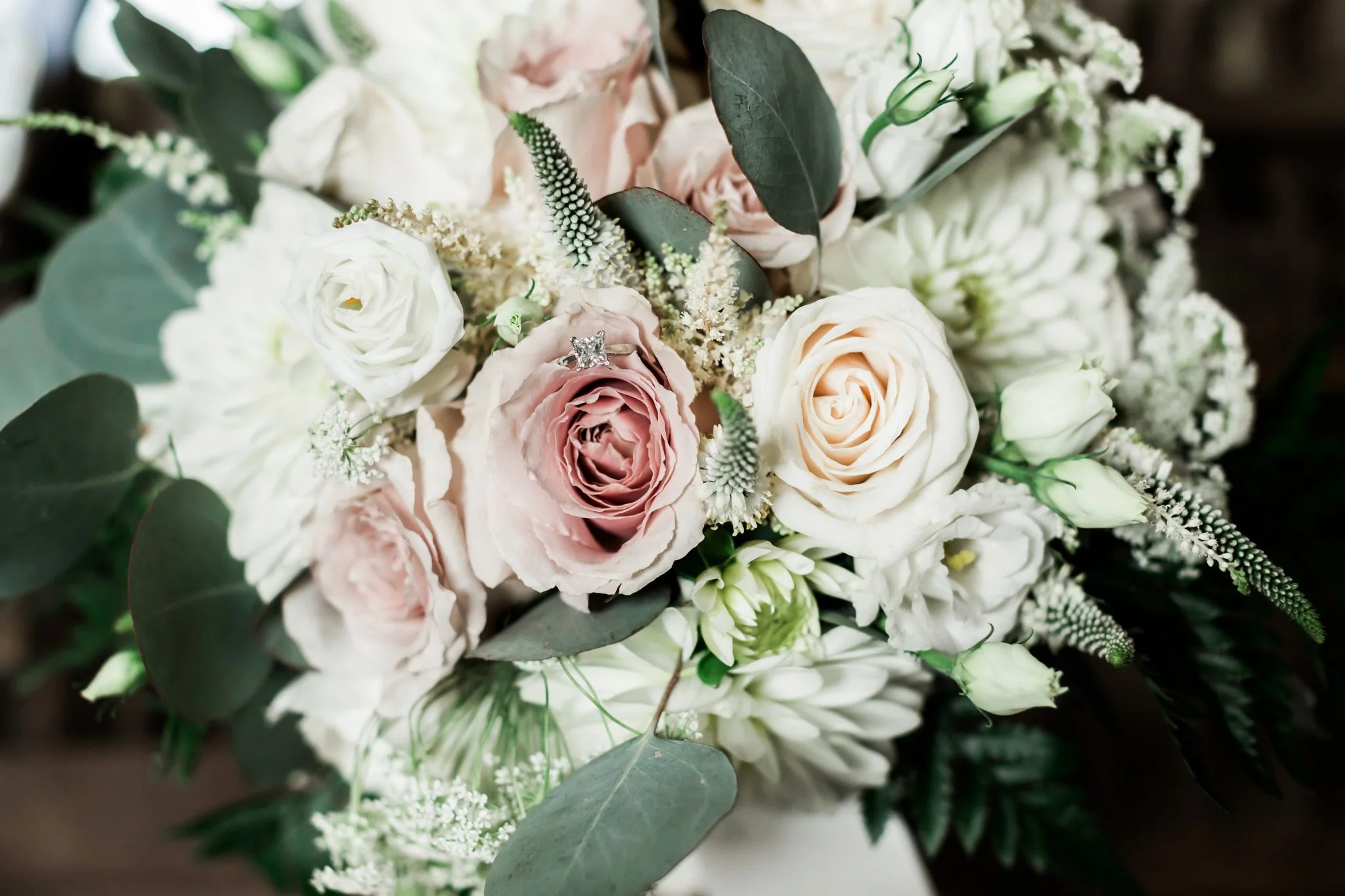 Anne Lee Photography