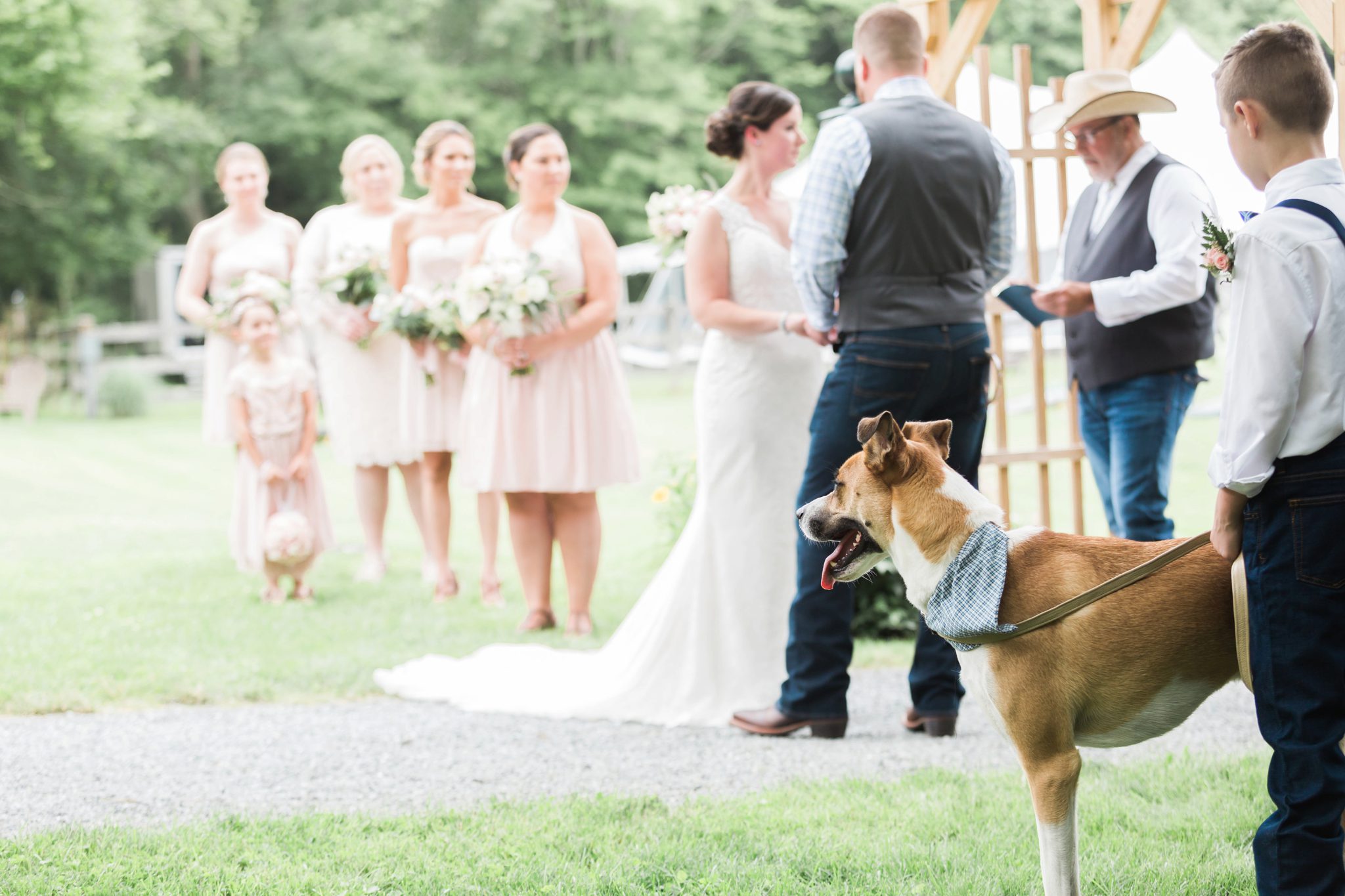 Anne Lee Photography