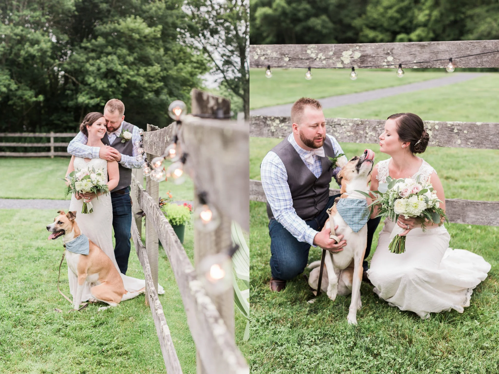 Anne Lee Photography