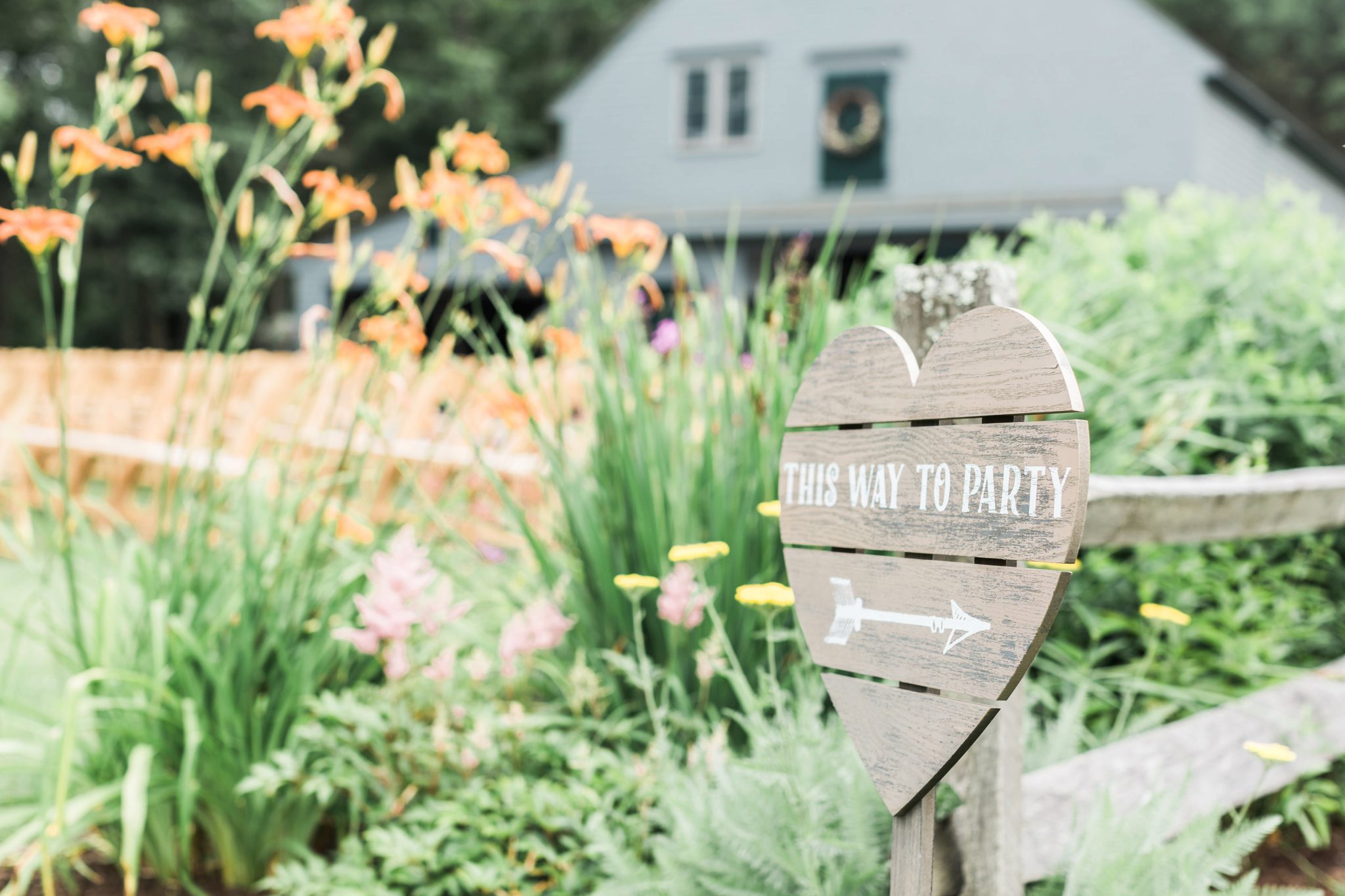 Anne Lee Photography
