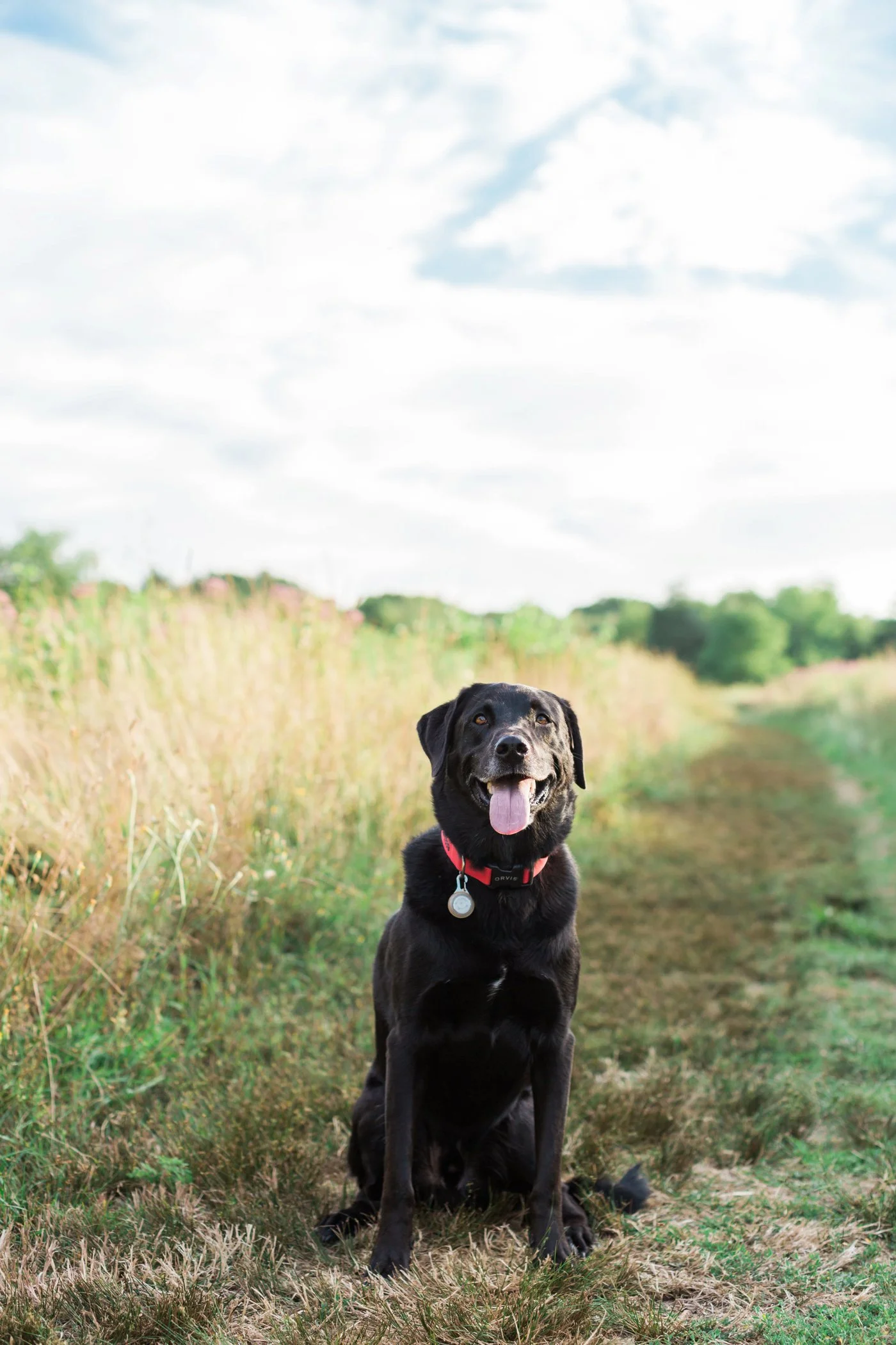 Anne Lee Photography