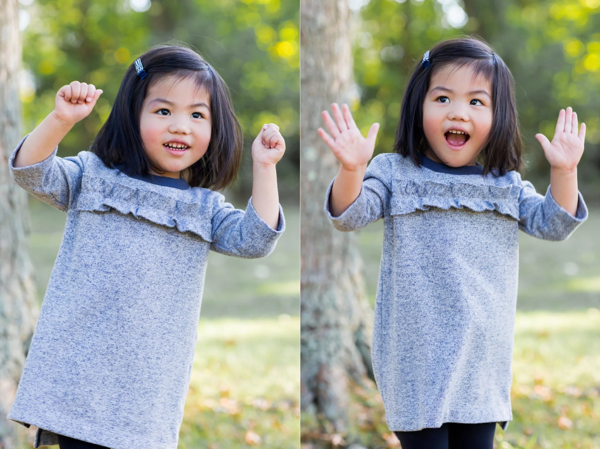 Anne Lee Photography